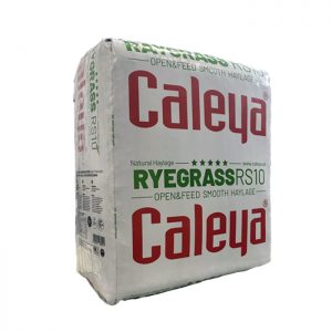Fardo Raygrass RS10 suave Caleya